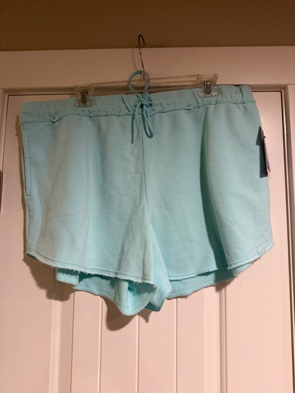 JoyLab Light Aqua Drawstring Athletic Lounge Shorts